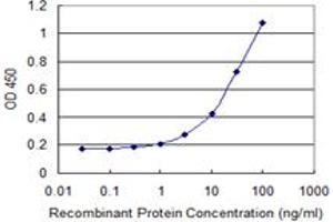 Detection limit for recombinant GST tagged TRAF1 is 1 ng/ml as a capture antibody. (TRAF1 Antikörper  (AA 1-416))