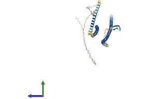 Protein Structure (PS) image for Keratin 12 (KRT12) (AA 1-494) protein (His tag) (ABIN7548614)