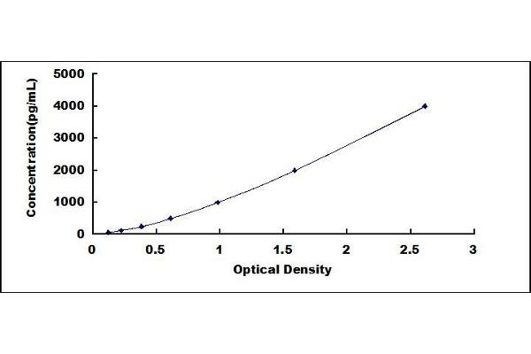 NRP2 ELISA Kit