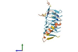 Protein Structure (PS) image for Dynactin 6 (DCTN6) (AA 1-190) protein (His tag) (ABIN7556271)