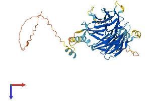 DCAF12L2 Protein (AA 1-463) (His tag)