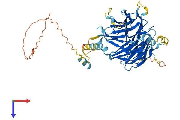 DCAF12L2 Protein (AA 1-463) (His tag)