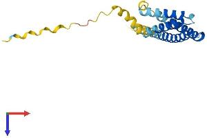 CMTM3 Protein (AA 1-182) (His tag)