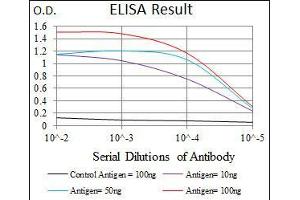 Black line: Control Antigen (100 ng), Purple line: Antigen(10 ng), Blue line: Antigen (50 ng), Red line: Antigen (100 ng), (E2F1 Antikörper  (AA 69-223))