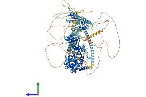Protein Structure (PS) image for TBC1 Domain Family, Member 4 (TBC1D4) (AA 1-1298) protein (His tag) (ABIN7555704)