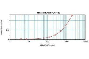 Image no. 4 for anti-PDGF-BB Homodimer antibody (ABIN465589) (PDGF-BB Homodimer Antikörper)