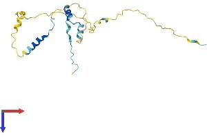 DARPP32 Protein (AA 1-194) (His tag)