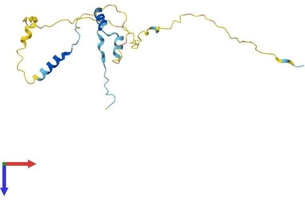 DARPP32 Protein (AA 1-194) (His tag)