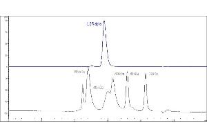 The purity of Human IL-2 R alpha Protein, Fc Tag (Hied) (ABIN2181382,ABIN2181381) was greater than 90 % as determined by . (CD25 Protein (AA 22-213) (Fc Tag))