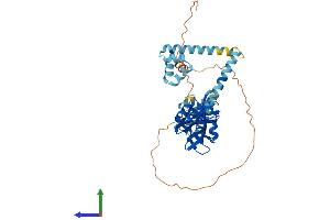 AlphaFold protein structure predicition of Mouse Recombinant Ddi1 Protein, UniprotID Q9DAF3