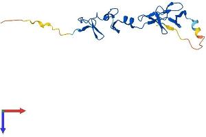 LMO4 Protein (AA 1-165) (His tag)