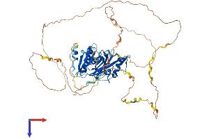 SH3BP2 Protein (AA 1-559) (His tag)