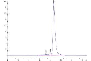 Size-exclusion chromatography-High Pressure Liquid Chromatography (SEC-HPLC) image for CD33 (CD33) (AA 18-259) protein (His-Avi Tag,Biotin) (ABIN7274160)