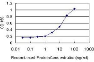 Detection limit for recombinant GST tagged AZIN1 is approximately 0. (Antizyme Inhibitor 1 Antikörper  (AA 339-447))