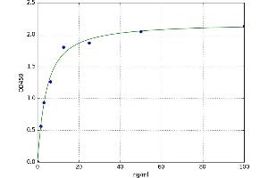 A typical standard curve (HSPD1 ELISA Kit)
