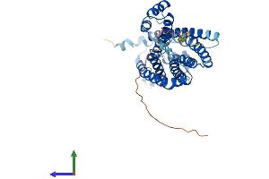 Protein Structure (PS) image for Ceramide Synthase 4 (CERS4) (AA 1-393) protein (His tag) (ABIN7561046)