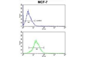 Flow Cytometry (FACS) image for anti-Keratin 13 (KRT13) antibody (ABIN3002761) (Cytokeratin 13 Antikörper)