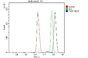 Flow Cytometry analysis of HL-60 cells using anti-PARP antibody (ABIN7602277). (PARP1 Antikörper  (AA 670-858))
