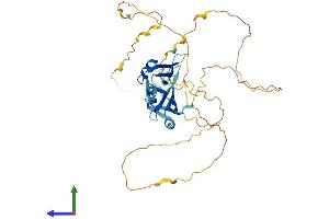 Protein Structure (PS) image for DAZ Associated Protein 1 (DAZAP1) (AA 1-406) protein (His tag) (ABIN7561548)