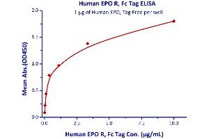 Immobilized Human EPO, Tag Free  with a linear range of 0. (EPO Protein (AA 28-193))