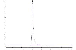 The purity of Human PSMA is greater than 95 % as determined by SEC-HPLC. (PSMA Protein (AA 44-750) (Fc Tag))