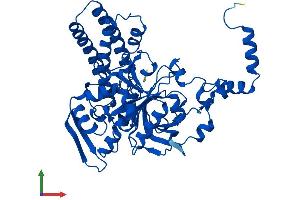 AlphaFold protein structure predicition of Human Recombinant BLMH Protein, UniprotID Q13867