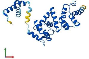 AlphaFold protein structure predicition of Human Recombinant DCUN1D1 Protein, UniprotID Q96GG9 (DCUN1D1 Protein (AA 1-259) (His tag))