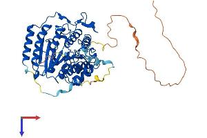 HDAC1 Protein (AA 1-482) (His tag)