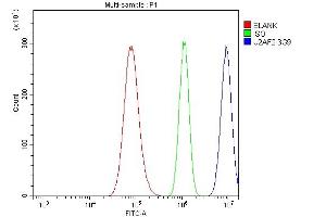 Flow Cytometry analysis of A549 cells using anti- U2AF65/U2AF2 antibody (ABIN7600795).