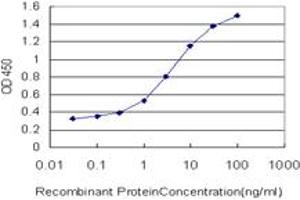 Detection limit for recombinant GST tagged YAP1 is approximately 0. (YAP1 Antikörper  (AA 53-161))