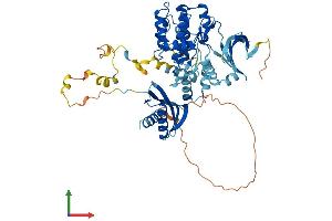 Protein Structure (PS) image for Protein Kinase, AMP-Activated, alpha 2 Catalytic Subunit (PRKAA2) (AA 1-552) protein (His tag) (ABIN7551918)