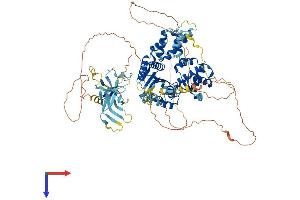 ORC1 Protein (AA 1-840) (His tag)