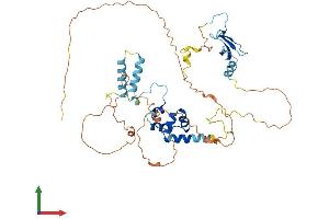 Protein Structure (PS) image for F-Box Protein 5 (FBXO5) (AA 1-447) protein (His tag) (ABIN7547675)