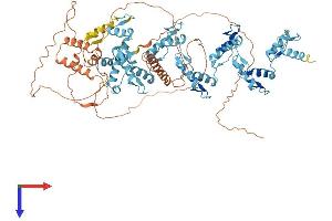 ZNF606 Protein (AA 1-792) (His tag)