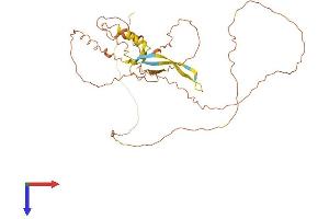 PROCA1 Protein (AA 1-364) (His tag)