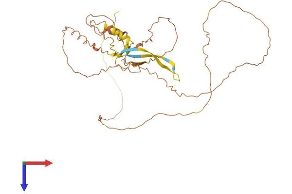 PROCA1 Protein (AA 1-364) (His tag)