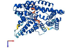MBOAT7 Protein (AA 1-473) (His tag)