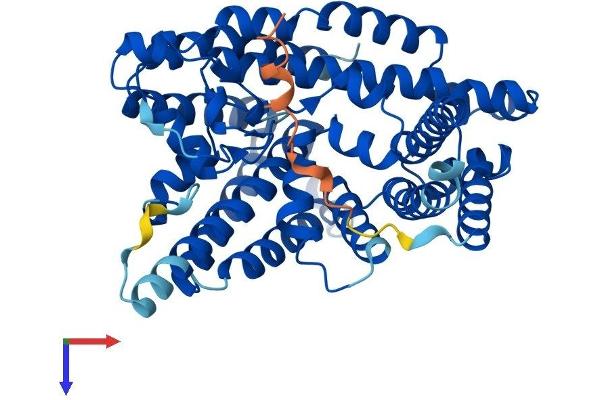 MBOAT7 Protein (AA 1-473) (His tag)