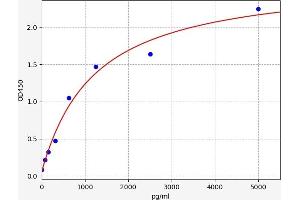 NGFR ELISA Kit