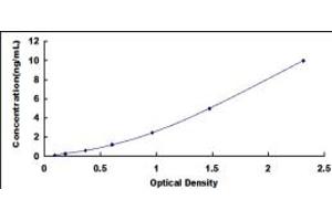 Typical standard curve (ERCC5 ELISA Kit)