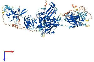 USP11 Protein (AA 1-963) (His tag)
