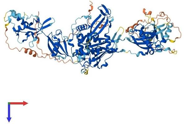 USP11 Protein (AA 1-963) (His tag)
