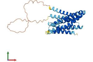 AlphaFold protein structure predicition of Mouse Recombinant Slc39a3 Protein, UniprotID Q99K24