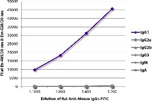 FLISA plate was coated with purified mouse IgG1, IgG2a, IgG2b, IgG3, IgM, and IgA. (Ratte anti-Maus IgG1 Antikörper (FITC))