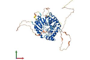 AlphaFold protein structure predicition of Mouse Recombinant Dnaaf3 Protein, UniprotID Q3UYV8