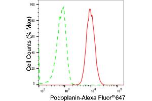 Flow cytometric analysis of Podoplanin expression in HAP-1 cells using Podoplanin antibody (ABIN7799861), 1:2,000). (Rekombinanter Podoplanin Antikörper)