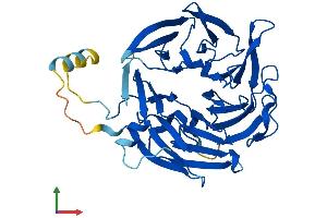 AlphaFold protein structure predicition of Mouse Recombinant Arpc1a Protein, UniprotID Q9R0Q6