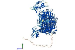AlphaFold protein structure predicition of Human Recombinant UBA6 Protein, UniprotID A0AVT1