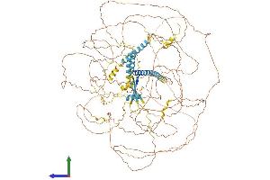Protein Structure (PS) image for Atrophin 1 (ATN1) (AA 1-1175) protein (His tag) (ABIN7562269)