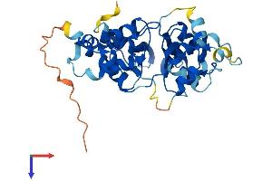 PRKAG1 Protein (AA 1-330) (His tag)